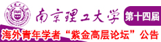 风骚插逼毛片南京理工大学第十四届海外青年学者紫金论坛诚邀海内外英才！